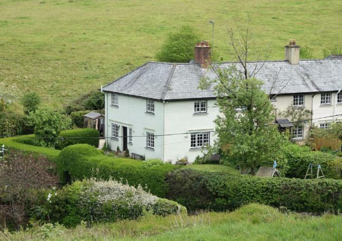 Cedra Cottage - Vintage Country Hideaway Axminster Exteriör bild