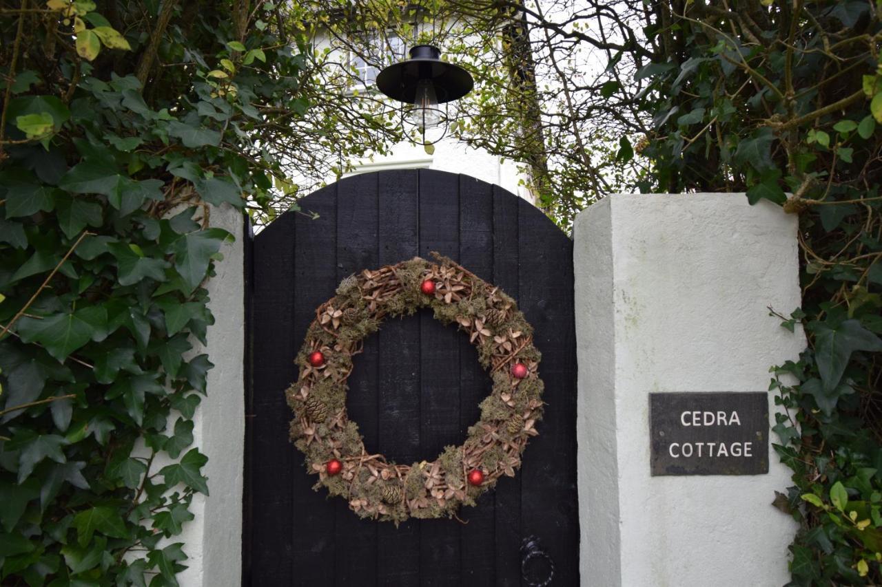 Cedra Cottage - Vintage Country Hideaway Axminster Exteriör bild