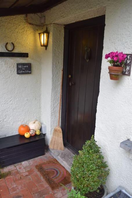 Cedra Cottage - Vintage Country Hideaway Axminster Exteriör bild