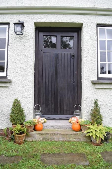 Cedra Cottage - Vintage Country Hideaway Axminster Exteriör bild